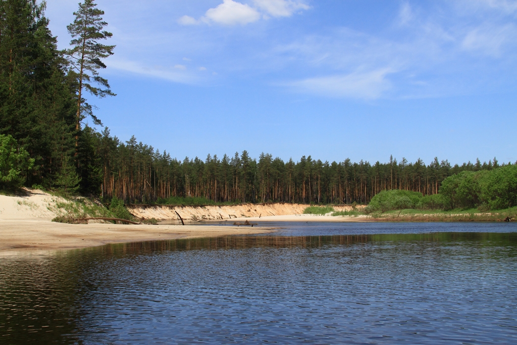 Заповедники нижегородской области фото