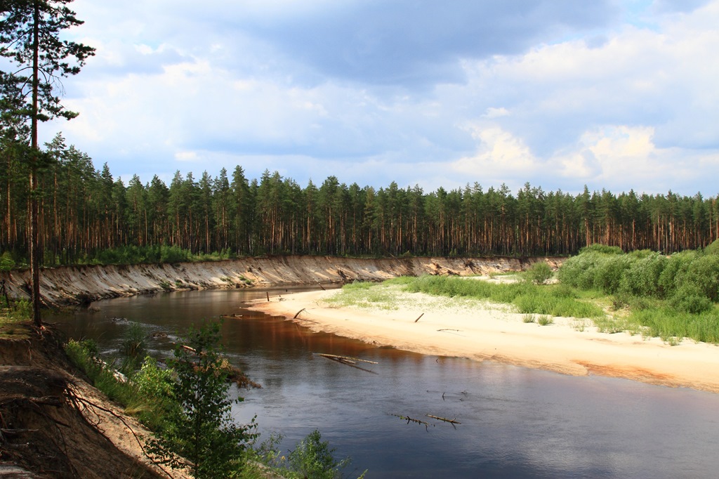 Керженский заповедник картинки